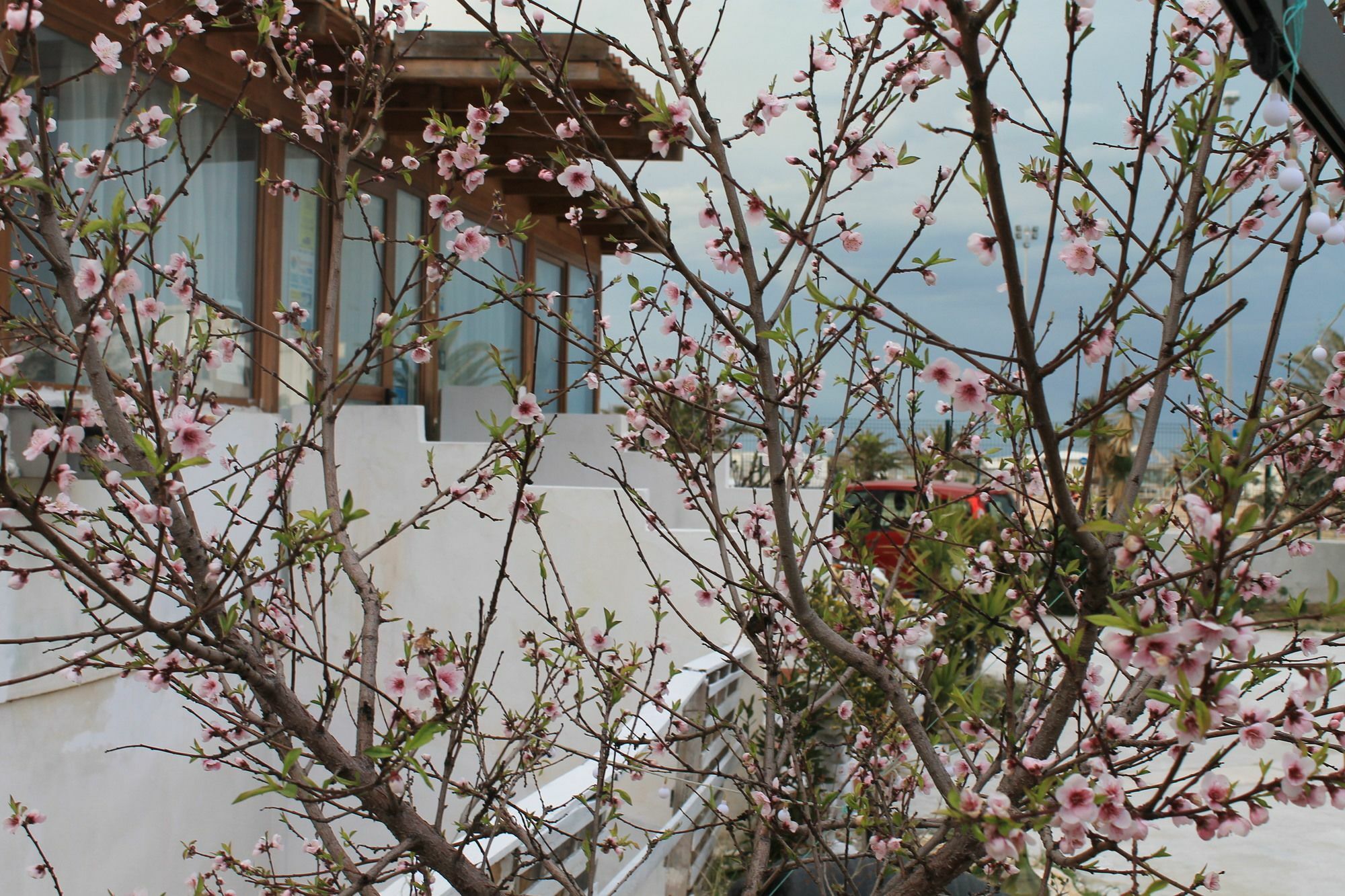 B&B Palazzo Manfredi Vieste, Fronte Mare Con Parcheggio Ngoại thất bức ảnh
